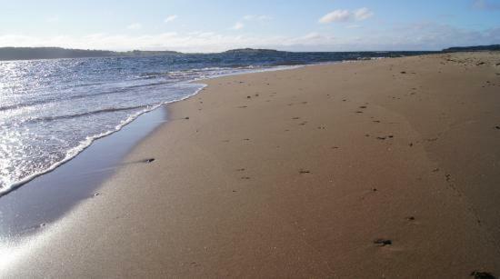 The Fiddle And The Sea Bed And Breakfast Port Hood Екстер'єр фото